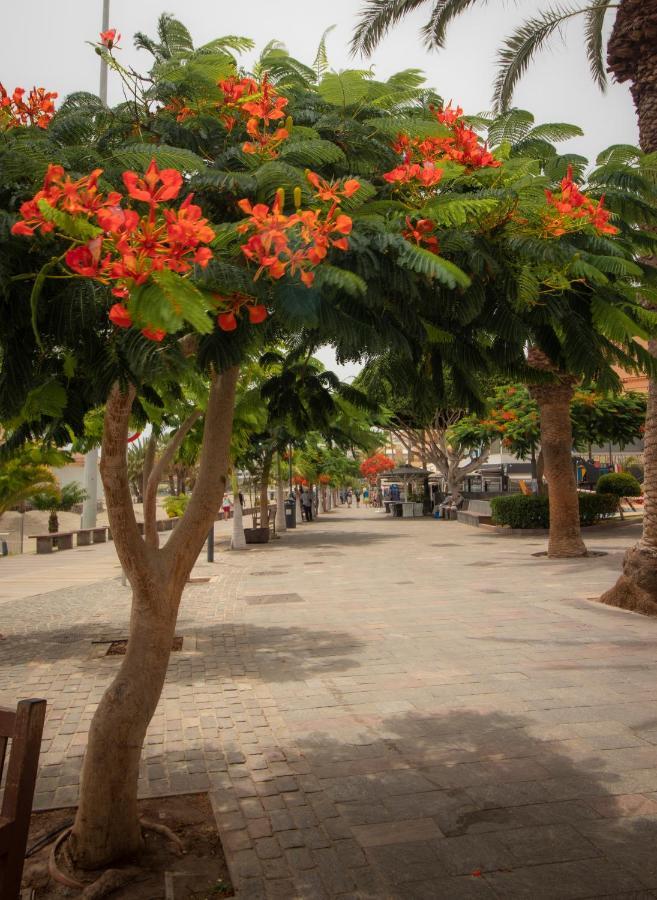 Los Cristianos beach apartment Exterior foto